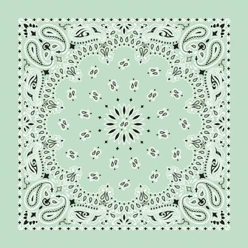 NT4414 Bandana Paisley Mint