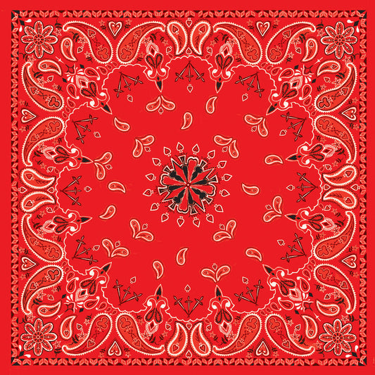 B003- Bandanna Red Paisley